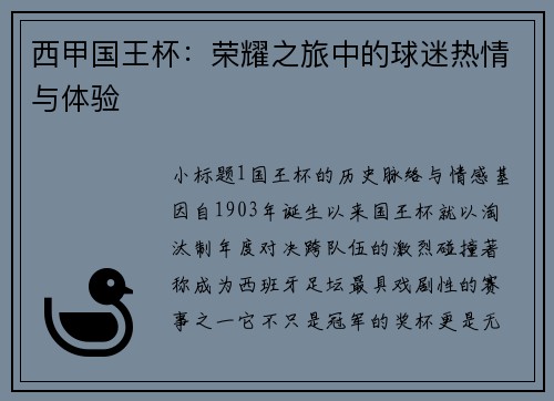 西甲国王杯：荣耀之旅中的球迷热情与体验